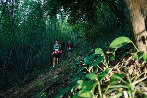 BIB: 
                            <button type="button" onclick="openModal(28123871)" class="btn btn-primary btn-sm float-right btn-popup" data-toggle="modal" data-target=".modal-high-quality">
                        <i class="fas fa-shopping-cart"></i> Add to Cart
                    </button>
                                            <button type="button" onclick="isThisMe(28123871, true)" class="btn btn-success btn-sm float-right btn-popup btn-isme hidden" data-toggle="tooltip" data-placement="bottom" title="นี่คือรูปของคุณใช่ไหม คลิกที่นี่เพื่อเอาเข้าอัลบั้ม">
                        <i class="fas fa-plus"></i> Add to album
                    </button>
                    <button type="button" onclick="isThisMe(28123871, false)" class="btn btn-warning btn-sm float-right btn-popup btn-isnotme hidden">
                        <i class="fas fa-ban"></i> Remove from album
                    </button>